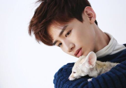 �������ٵ��������̷��ʺϴ����鷢 ���귢����ô���ķ����ܿ�������