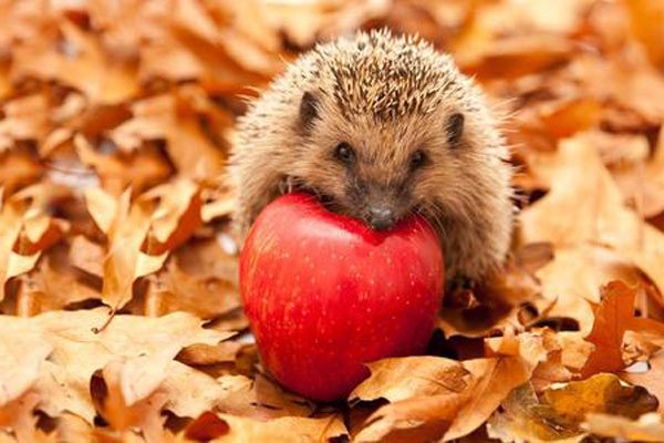 ��ˮ��ɻ������ �ŵ��˲����������˲���