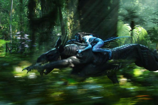 ������2����������� ���ţ�����?��ѽ!