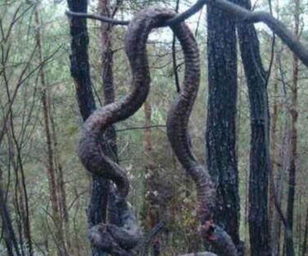 ɽ����ʵ���߻������� �������ģ�Ҫ������η