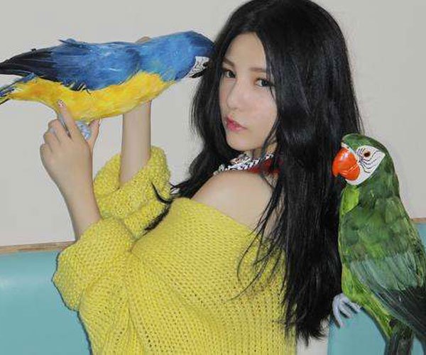 ���⵽�׻��ڲ��� ���������������û����