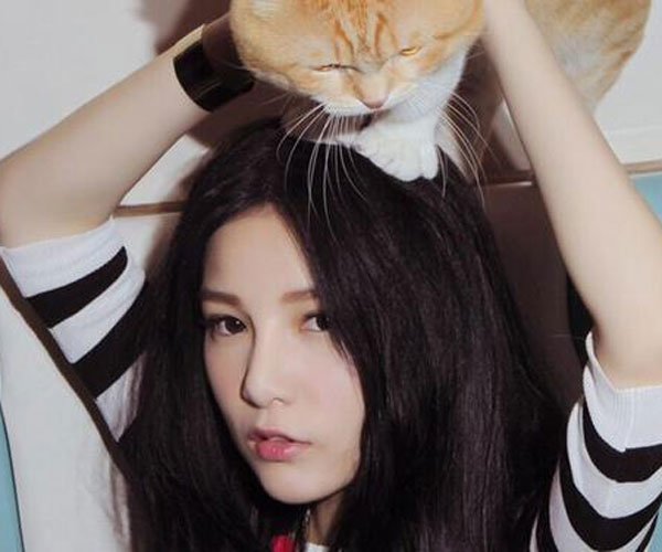 ���⵽�׻��ڲ��� ���������������û����