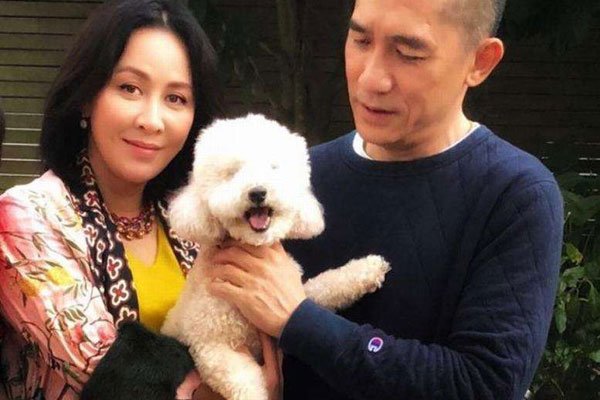 刘嘉玲和梁朝伟不生宝宝的原因 男方抑郁症不想要孩子