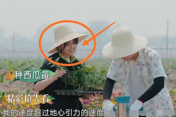 ���������ӷ�ʲô��ϵ һ���ƺ�͸¶�����˵Ľ���