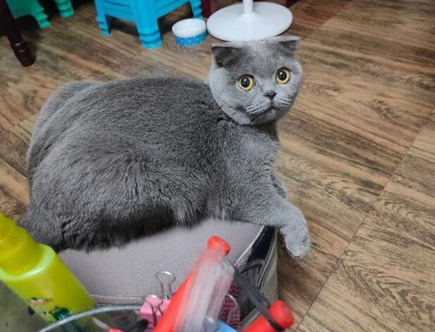 �����Ǹ���һ�´������ӵ�����