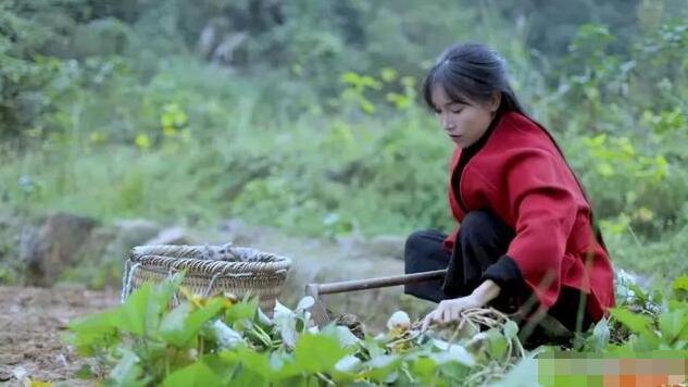 ������Ĺ�԰��רҵ���Ŷ���ά����ҪΪ������Ƶ�ṩ������