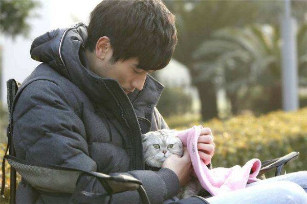 ����������ʵԭ���� �����������������ʲô