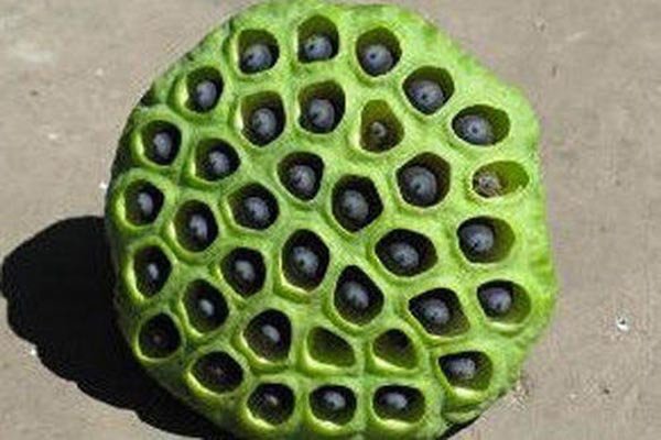 ����ָ��ɶ ����ϳ�ͼƬ�����Ŀֻ�������