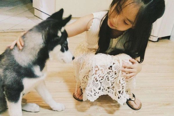 �����ɼ�������ϵͼ ������˭�ļ�����