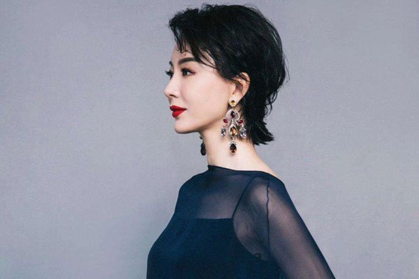 演员陈数前夫及孩子 柳云龙真有前妻是她吗