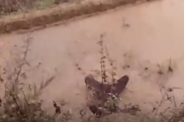 ���μ������¼� ��ͥ�����������˺�ͦ��