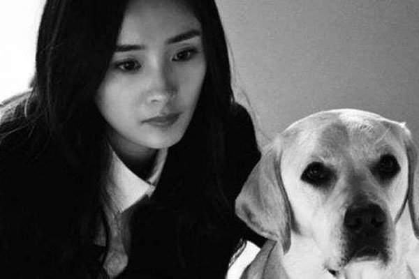 ����թ������ʲô��˼ ��Ϊ���������Ȼ��ŵ�˾�Ҫ����