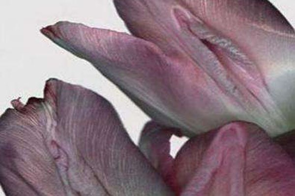 Ů�Ե�ʮ��������ͼƬ ����Ů����������֮�������ֱ��̱��