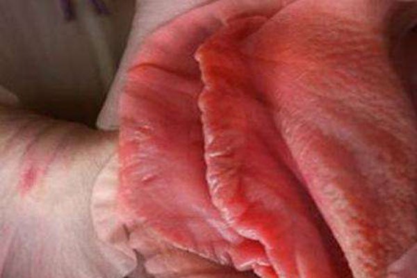 女性的十二种名器图片 这种女人名器尝过之后的男人直接瘫了