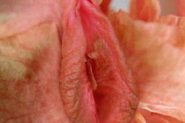 女性的十二种名器图片 这种女人名器尝过之后的男人直接瘫了