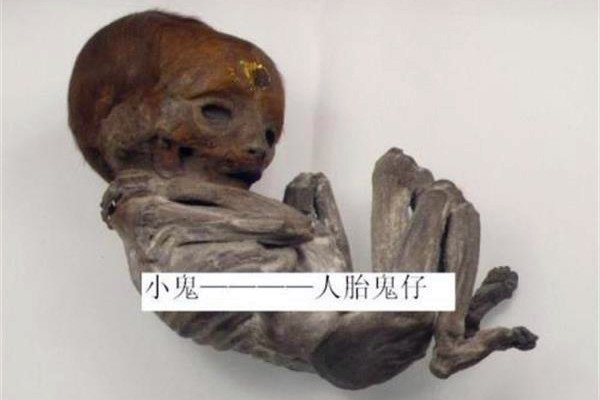 ��С������ʲô��˼ С������Ϊ̩��������ɱ��