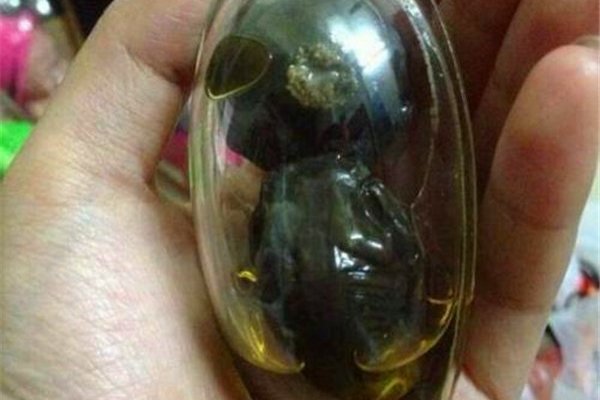 ��С������ʲô��˼ С������Ϊ̩��������ɱ��