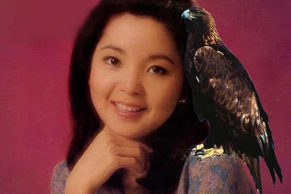 ����������ô���ĸ����Һ��� �����������ԭ��������δ��֮��