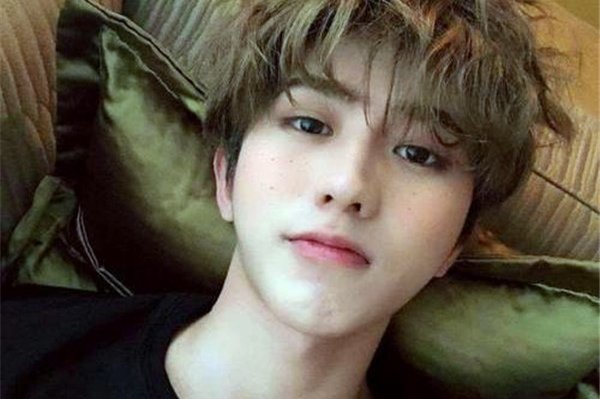 ������nmslʲô��+����� ����������������˸�����