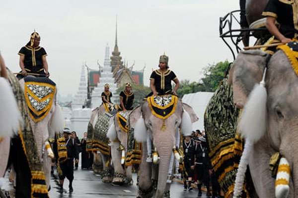 ϣ����̩��������Ȯ������ ̩���˸�����Բ�һ��