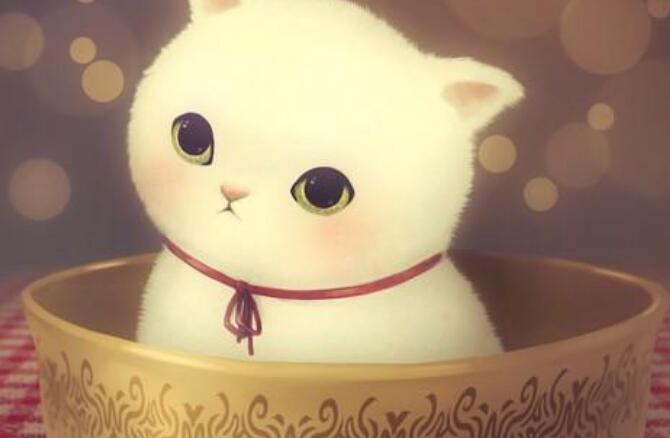 ���������ĸ��ϵ�� ÿһ������Ա��ϵ���ø���