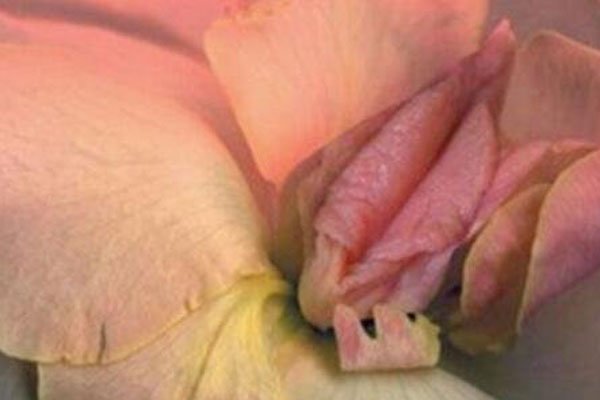 Ů��ʮ�������������� ΢��֮���������Լ�ȥ���