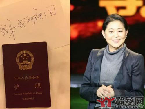 ��Ƽ��������������� ���ӻ�Ӧ��Ƽ��������