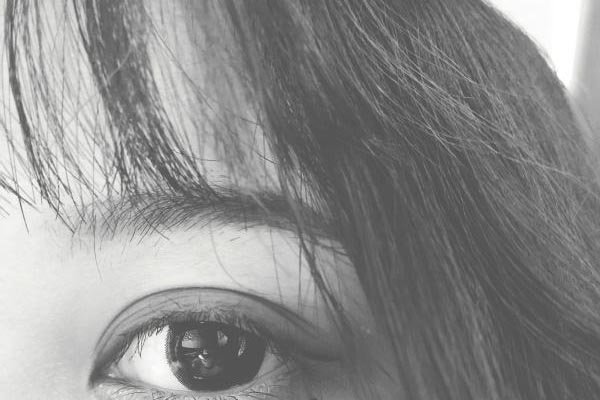 ��ʮ�����δ�ȫͼ�� ����������Ϊ���ĵ��۾�