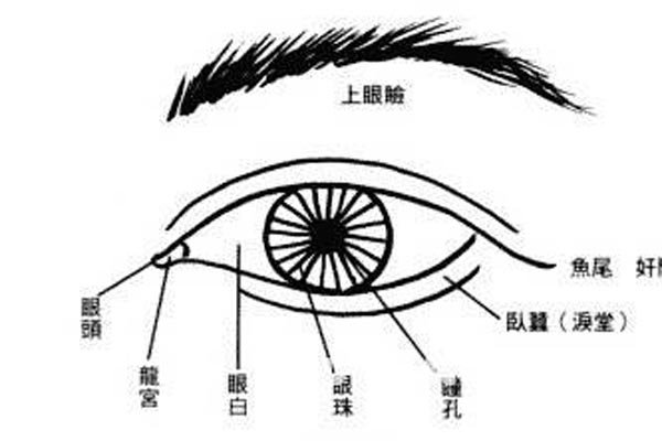 ��ʮ�����δ�ȫͼ�� ����������Ϊ���ĵ��۾�