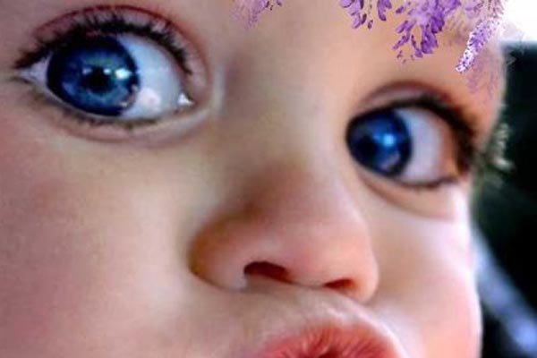 ��ʮ�����δ�ȫͼ�� ����������Ϊ���ĵ��۾�