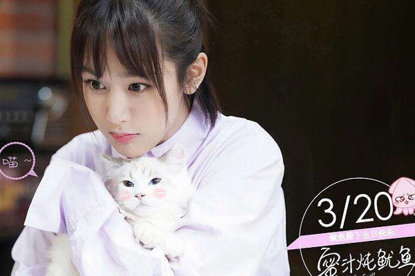 ��֭�����㷬����ƪ ����Բ���ɹ����һ���������̥