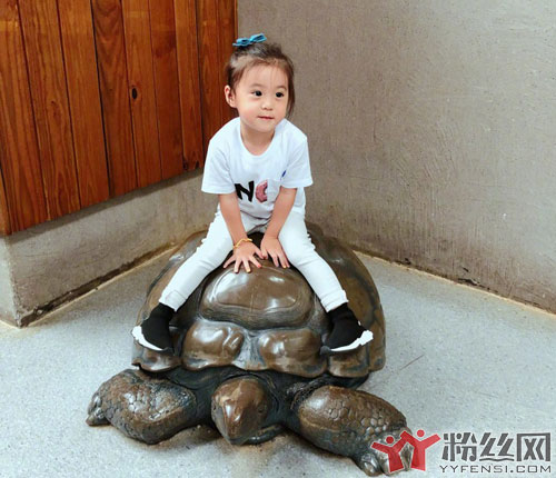 �־����������Ͻ�Ŀ���� �����Ŀ����Ҳ�Ҫ�ô��˵�������С��