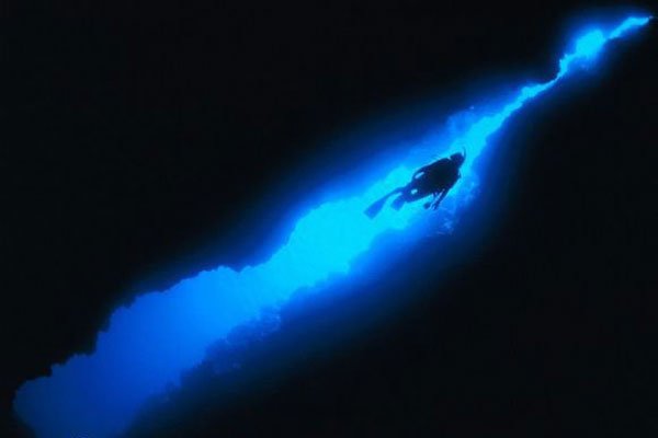 ����9�����ж�ֲ� ��־�֢���ܿ��Ļ��������ľ���ս