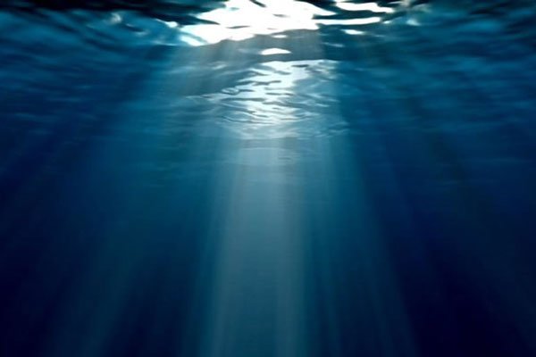 ����9�����ж�ֲ� ��־�֢���ܿ��Ļ��������ľ���ս