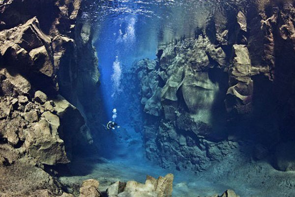 ����9�����ж�ֲ� ��־�֢���ܿ��Ļ��������ľ���ս