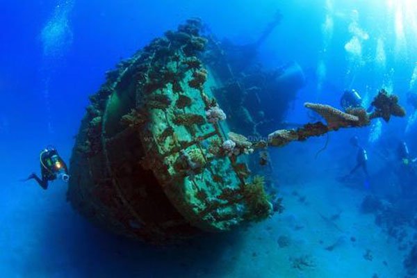 ����9�����ж�ֲ� ��־�֢���ܿ��Ļ��������ľ���ս