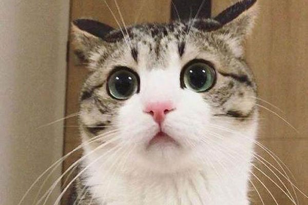 �껨è����è�ĸ������ĸ�ճ�� ��������̫������ڲ���