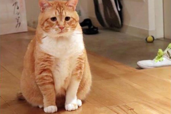 �껨è����è�ĸ������ĸ�ճ�� ��������̫������ڲ���