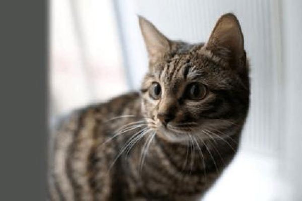 �껨è����è�ĸ������ĸ�ճ�� ��������̫������ڲ���