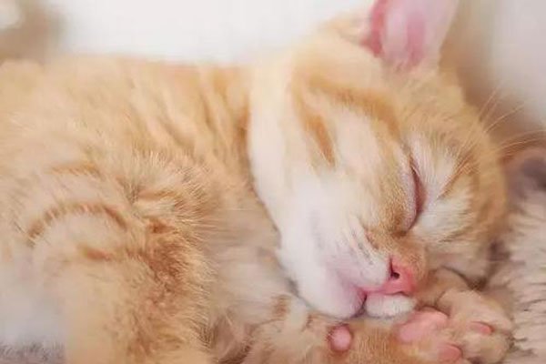 �껨è����è�ĸ������ĸ�ճ�� ��������̫������ڲ���