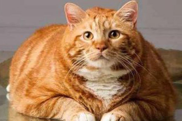 �껨è����è�ĸ������ĸ�ճ�� ��������̫������ڲ���