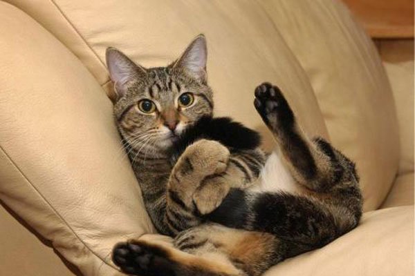 �껨è����è�ĸ������ĸ�ճ�� ��������̫������ڲ���