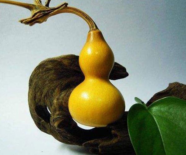 ��«����100�����Ƭ �̺�«������Щ������ֵǮ��