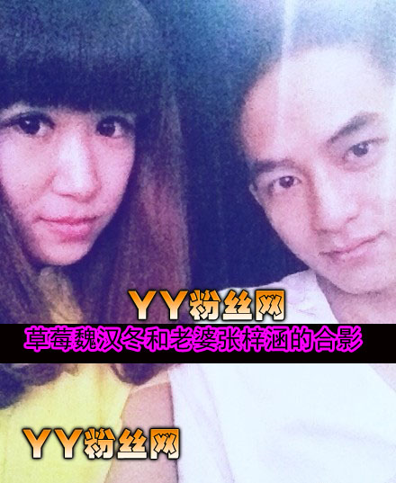 �������Ͳ�ݮ��Ƭ������ɷ���� ��������Ƭ΢������