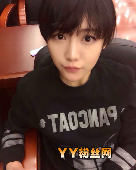 ������㳪���Ż۾����赸����ȫ�� �������������Ż�΢��������