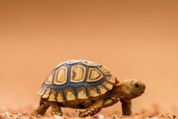 �ڹ����������˵����� �ݹ�Ļ�����ý���