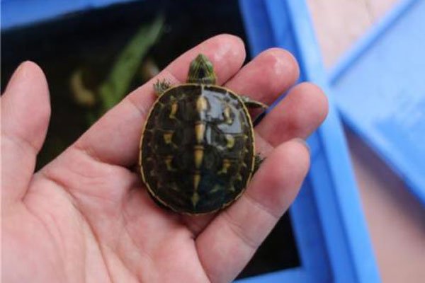 �ڹ����������˵����� �ݹ�Ļ�����ý���