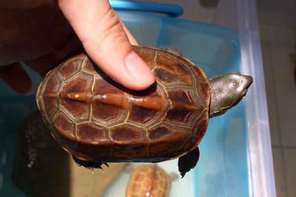 �ڹ����������˵����� �ݹ�Ļ�����ý���