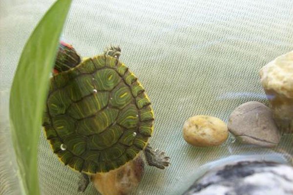 �ڹ����������˵����� �ݹ�Ļ�����ý���