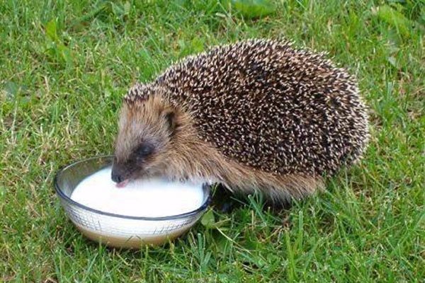 �����ʲô���ŵ�˵�� �����ļ���ǧ��Ҫע��